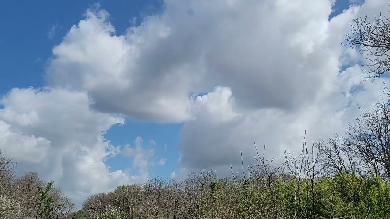 March Cumulus #timelapseclouds