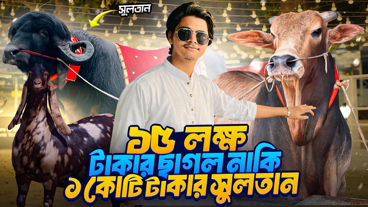নারায়ণগঞ্জে কোটি টাকার সুলতান লক্ষ টাকার খাসি দেখলাম | Qurbani cow 2025 | Shafin The Vloger Boy |