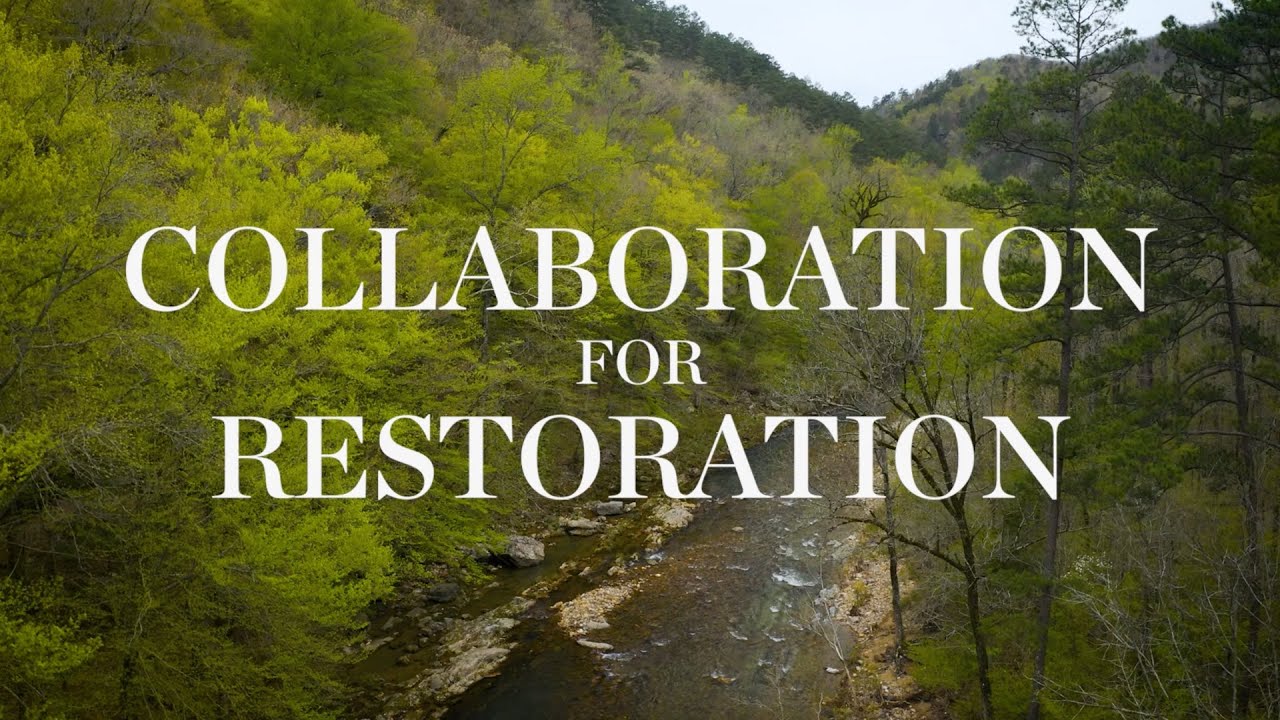 Collaboration for Restoration: A Collective Effort for Forest Health