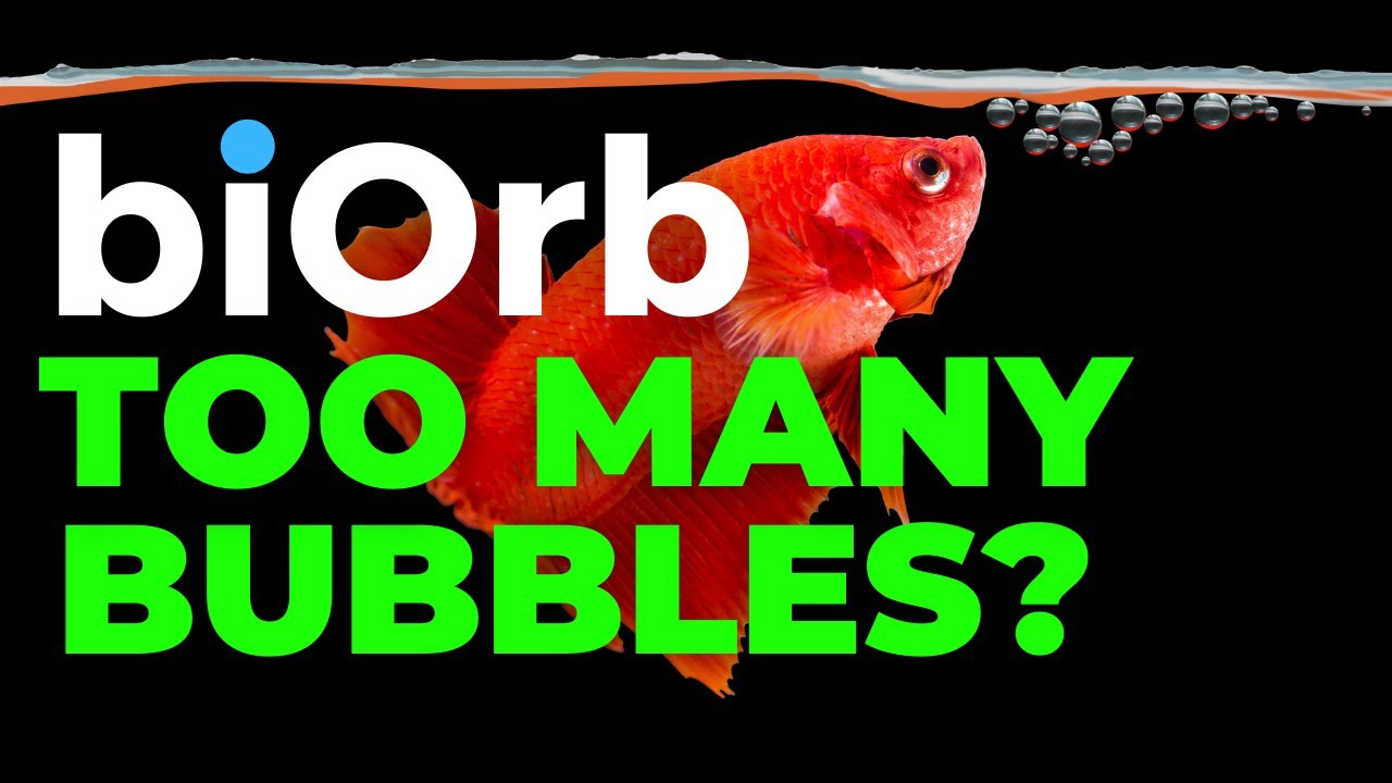 biOrb Aquarium | Пузырьки воздуха слишком высоко?