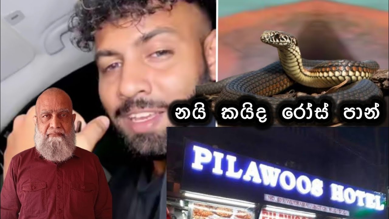 නයා ඇරියේ කවුද ...?