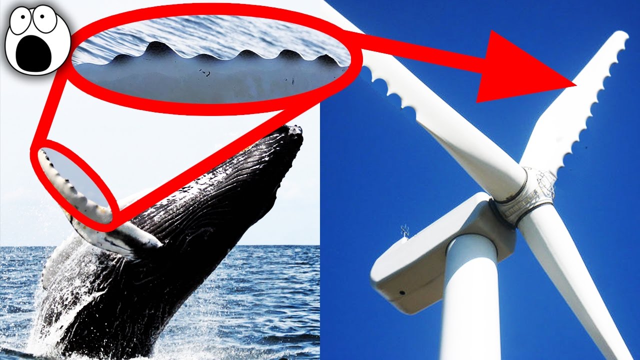 Amazing Technologies Inspired by Nature