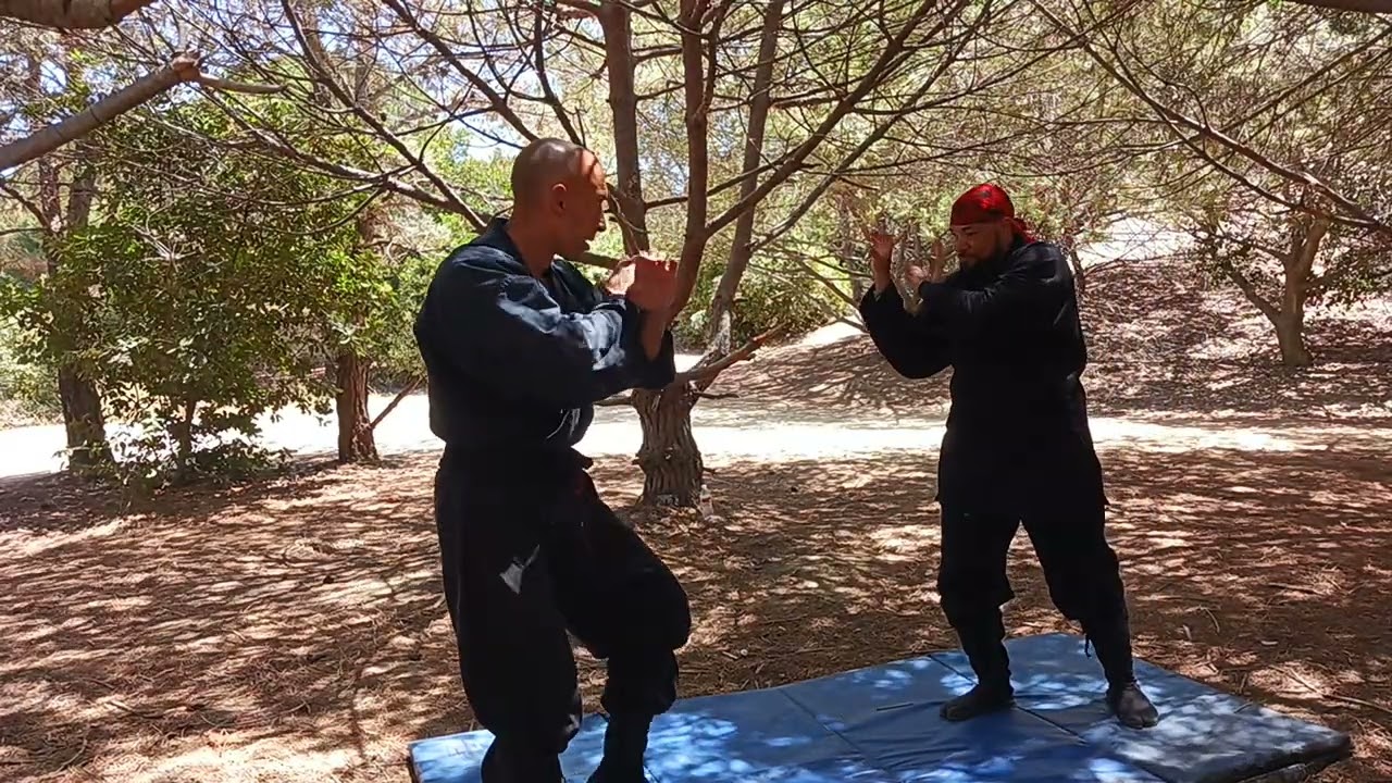 Shadow Hawk koga Ryu Ninjutsu training. Basic  form of Ka Ryu. Fire Dragon technique.