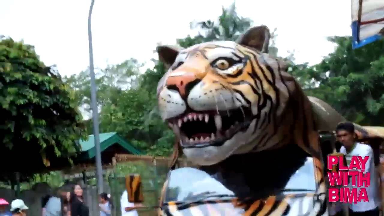 Learn about animals - Goes to Ragunan Zoo Jakarta