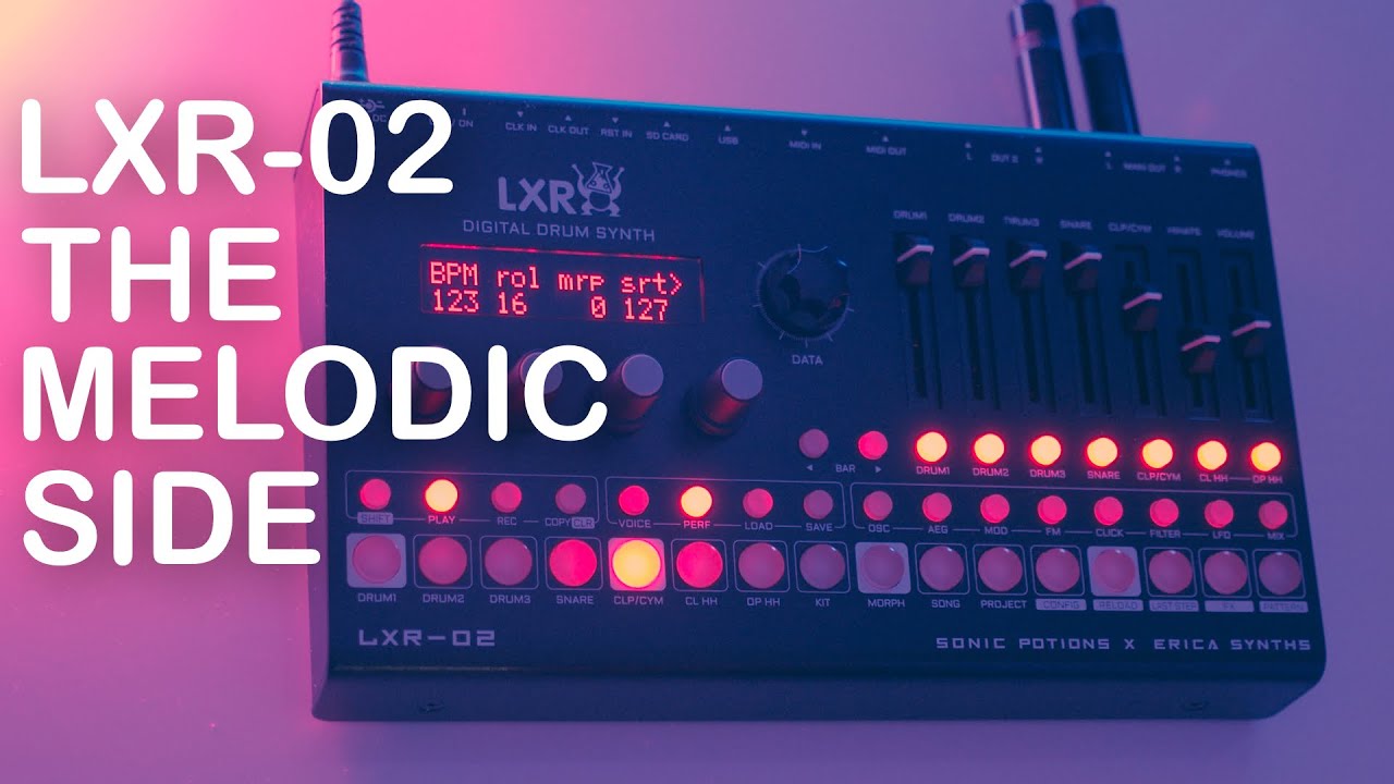 Erica Synths LXR 02 - Melodic Grooves (Sound Demo / No Talking)