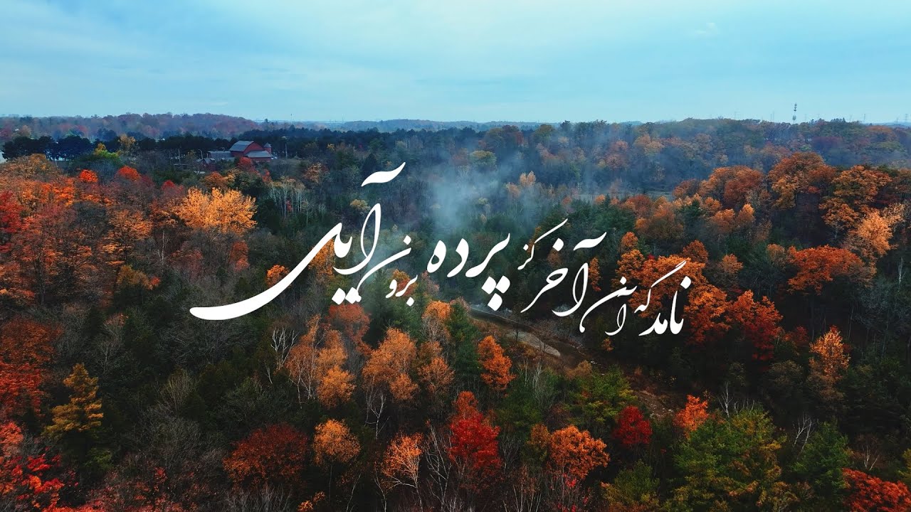 The Whale & Homayoun Shajarian - Rosvaye Jahan | شجریان - رسوای جهان