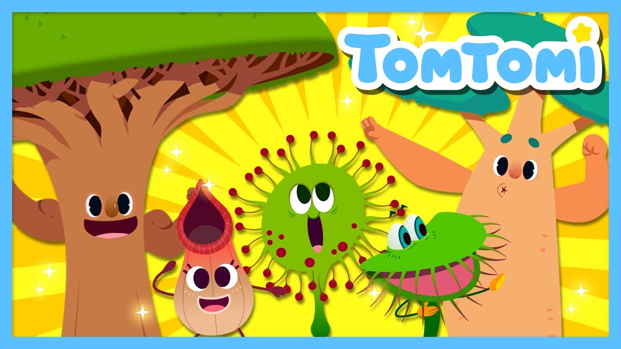 Weird but Cool Plants and Insects😎 | Insects & Bugs | Kids Song | TOMTOMI