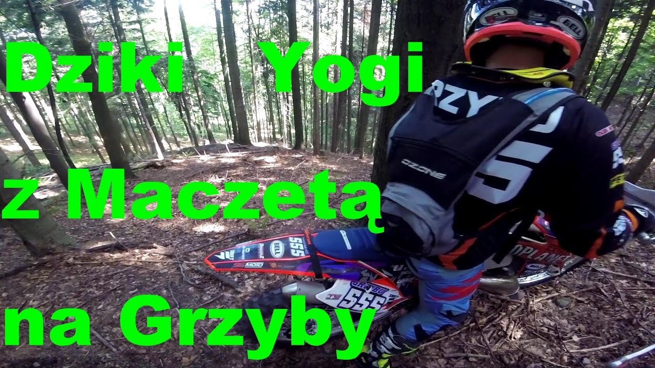 Dziki Yogi Maczeta i Grzybu555