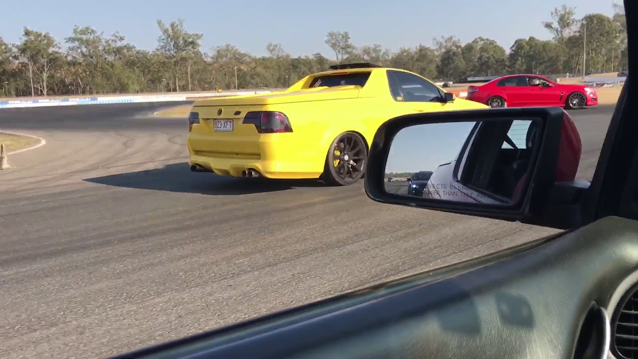 Yellow maloo