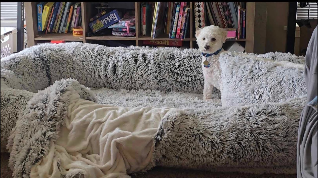 Human Dog Bed Review: Excellent Gift for Teens or Pet owners