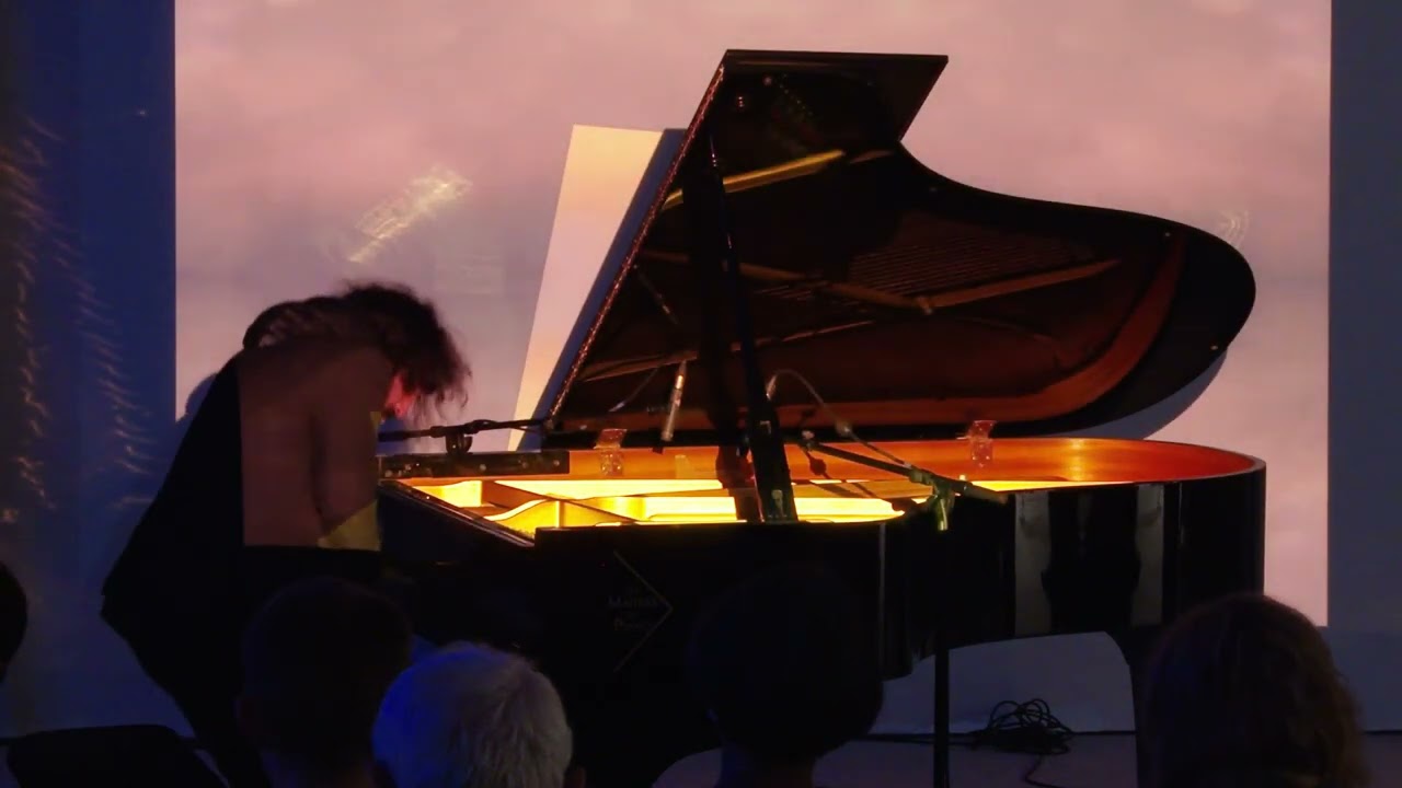 Live du pianiste Nima Sarkechik