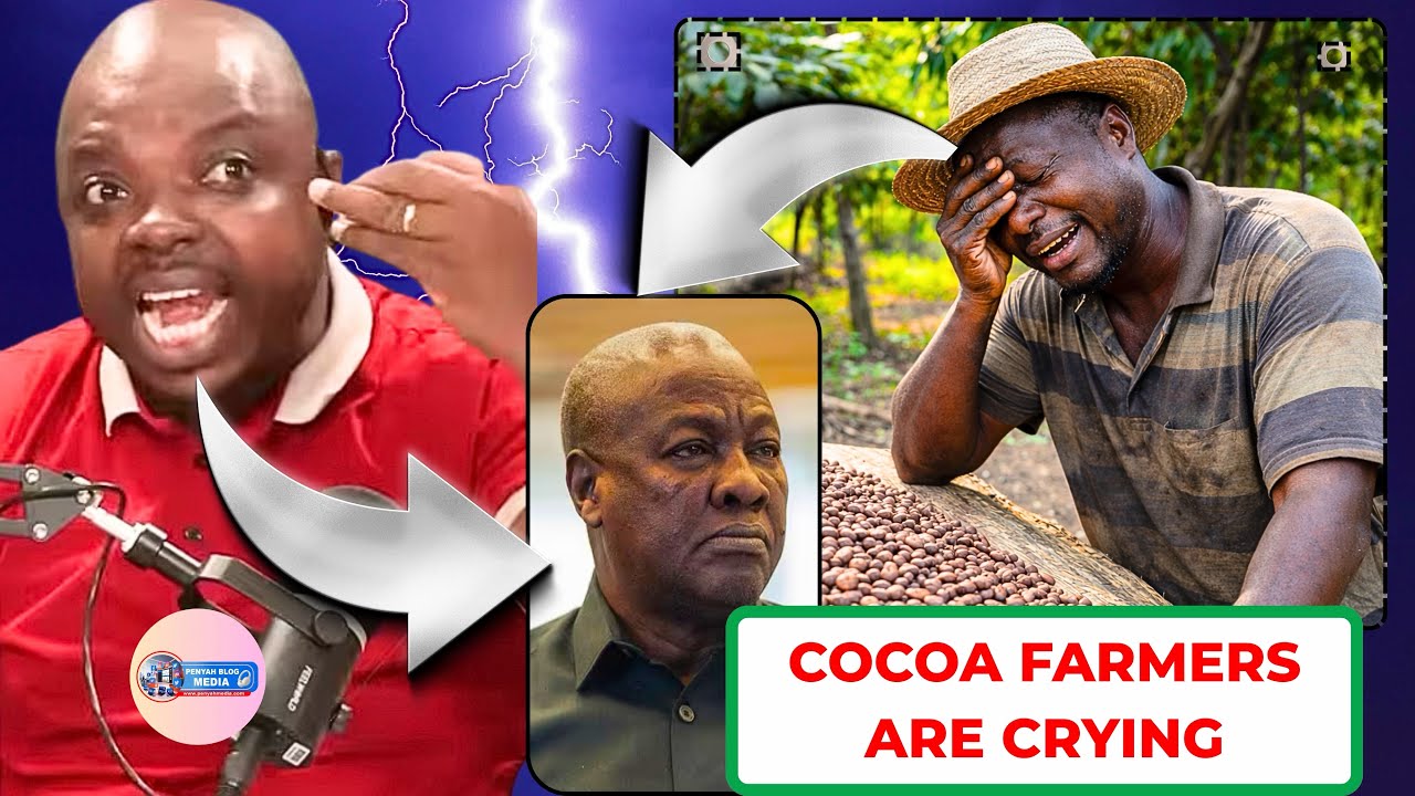 Ei Ghana😭 Cocoa farmers are crying for bad treatment; Abronye Dc & TikTokers blàst John Mahama
