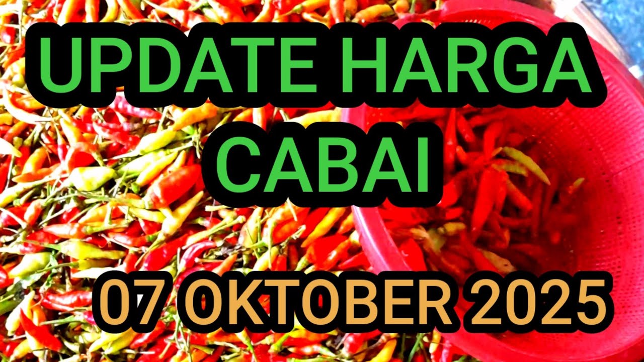 Info harga cabe rawit 7 Oktober 2025 di pasar induk pare kediri jawa timur 