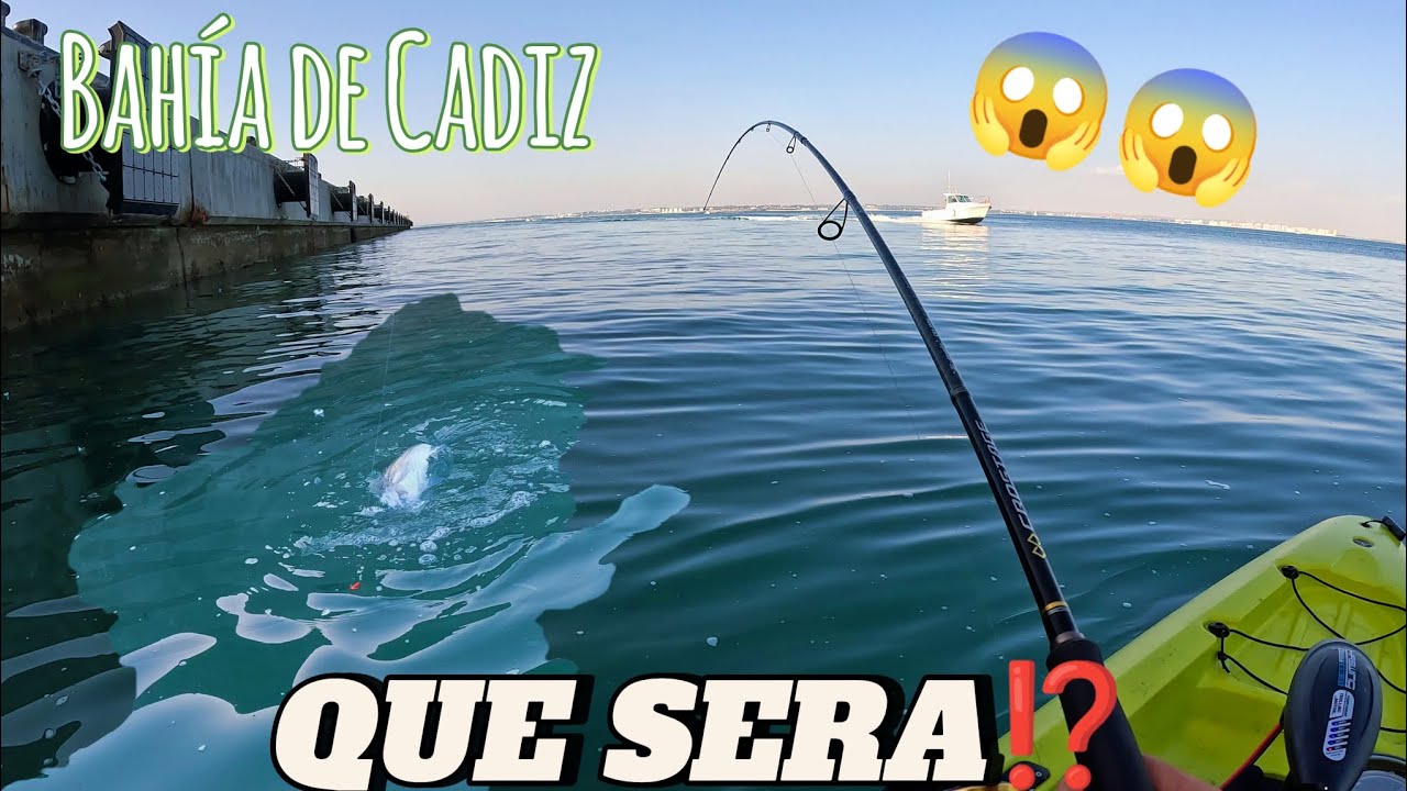INCREIBLE‼️ Pesca en la bahía de cadiz❗ Que preciosidad de pez.