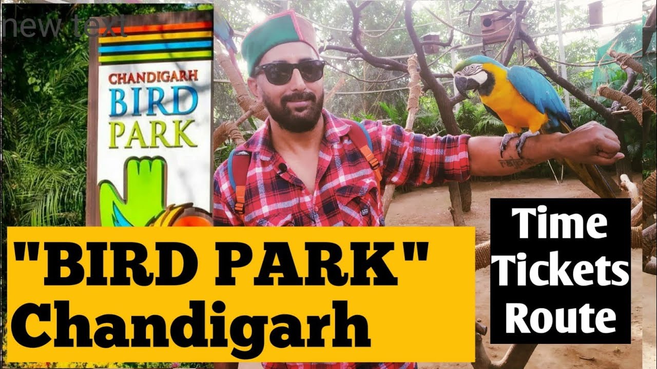 Chandigarh New Bird Park || कैसे पहुंचें Bird Park || 48 species of birds ||  @parmarsaab85