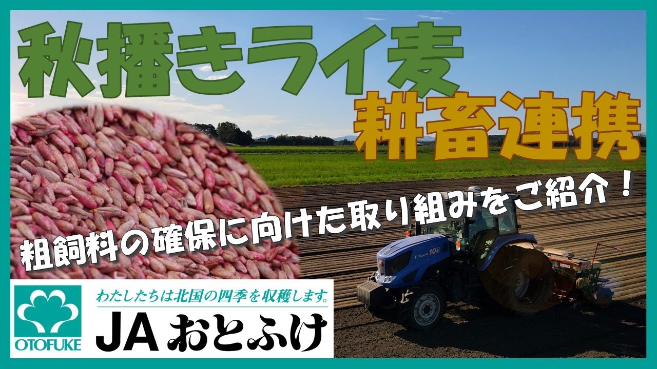 【JAおとふけ】粗飼料の増産に向けた取組紹介【耕畜連携・ライ麦】