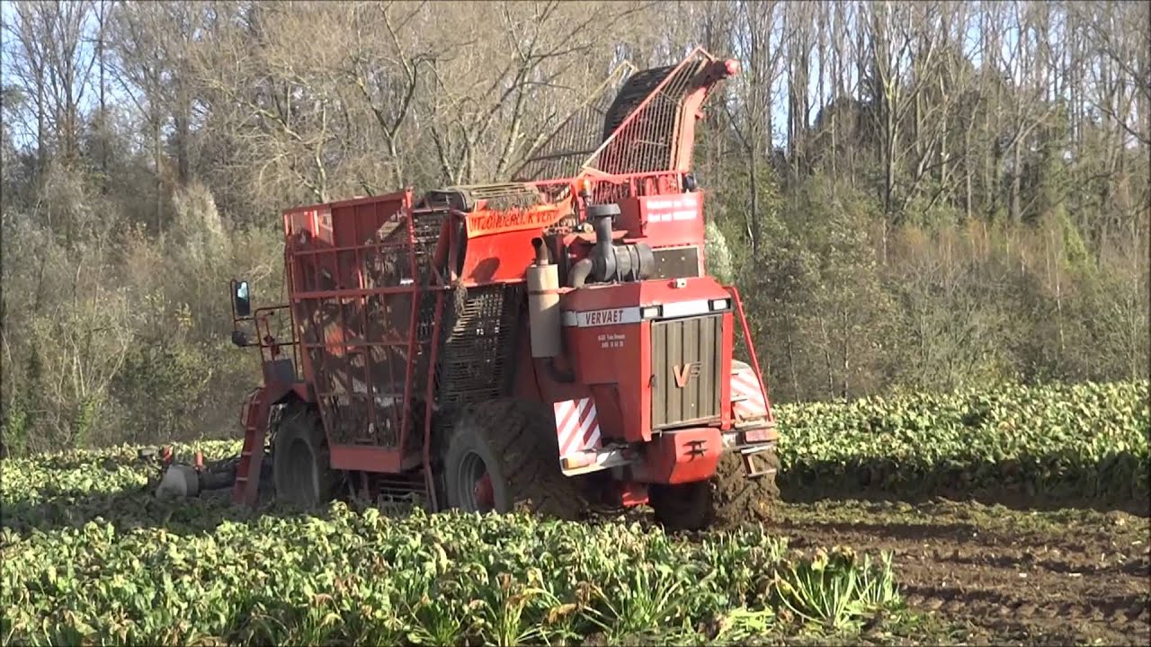 Agri Van Damme - bieten rooien
