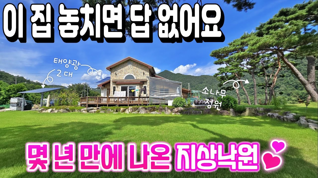 [NO. 836] 여기가 지상낙원!~ 회장님 별장같은 소나무숲 정원과 넓은 농지, 비닐하우스 모두 갖춘 반해버린 제천전원주택매매