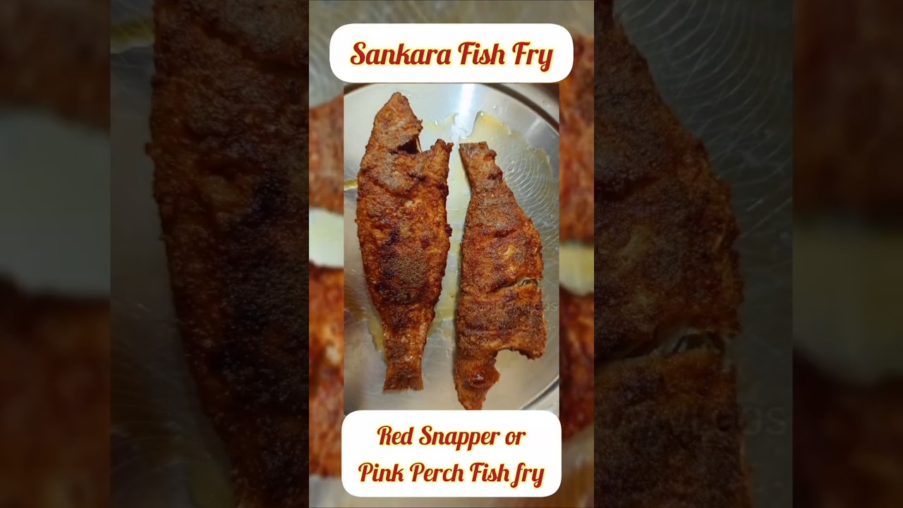 Quick & Tasty Sankara Fish Fry | Red Snapper / Pink Perch Recipe 