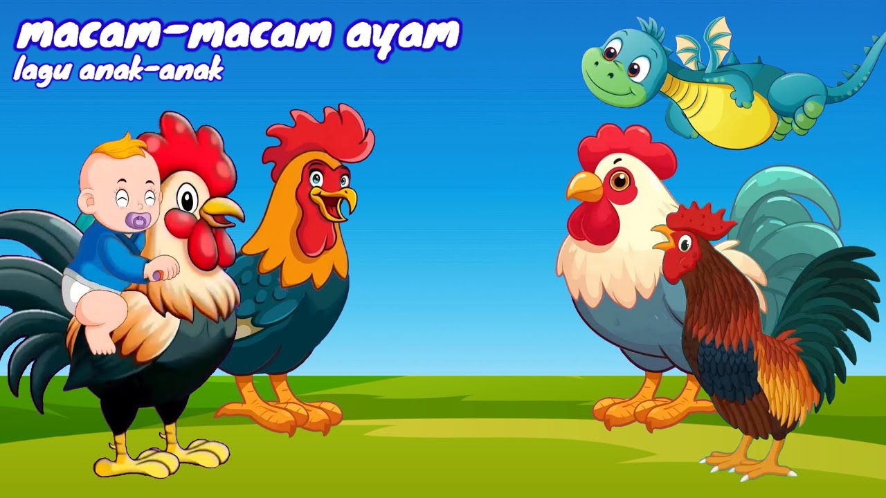 lagu anak anak | macam macam ayam | ekshalova