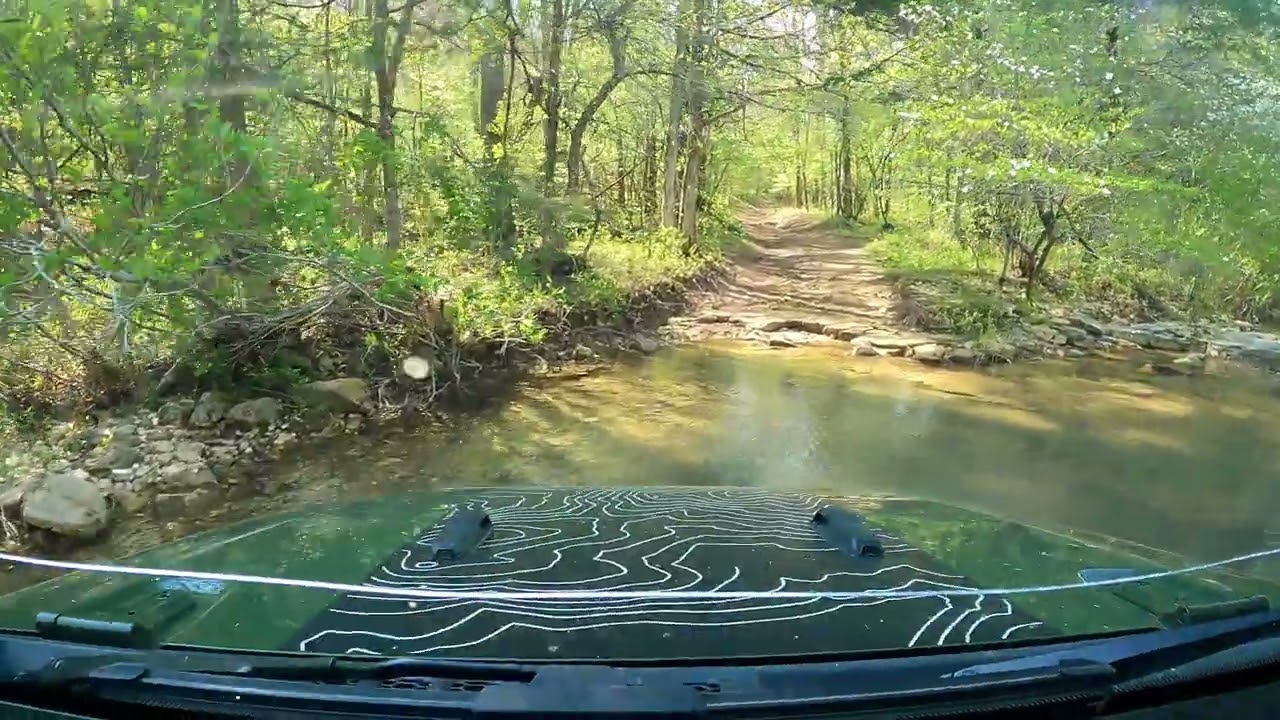 2023-#13 Pinstripes Tell Stories... Glade Top Trails in MTNF