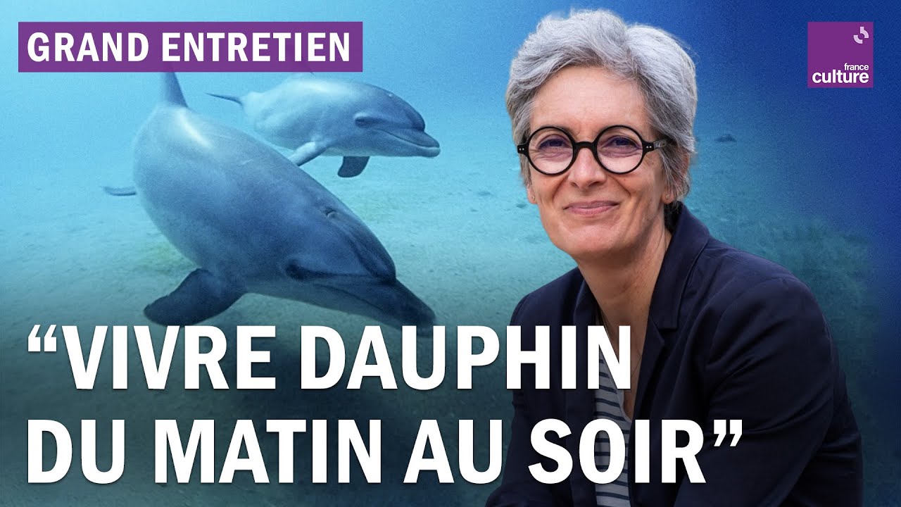 Plongée dans l'intelligence des dauphins : grand entretien avec l'éthologue Fabienne Delfour
