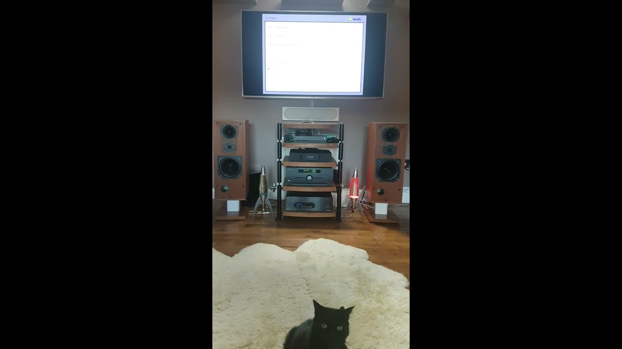 BOWERS & WILKINS DM2 SERIES ii