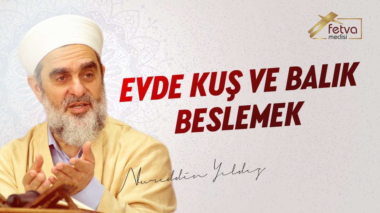 Evde Kuş ve Balık Beslemek - Nureddin Yıldız - fetvameclisi.com