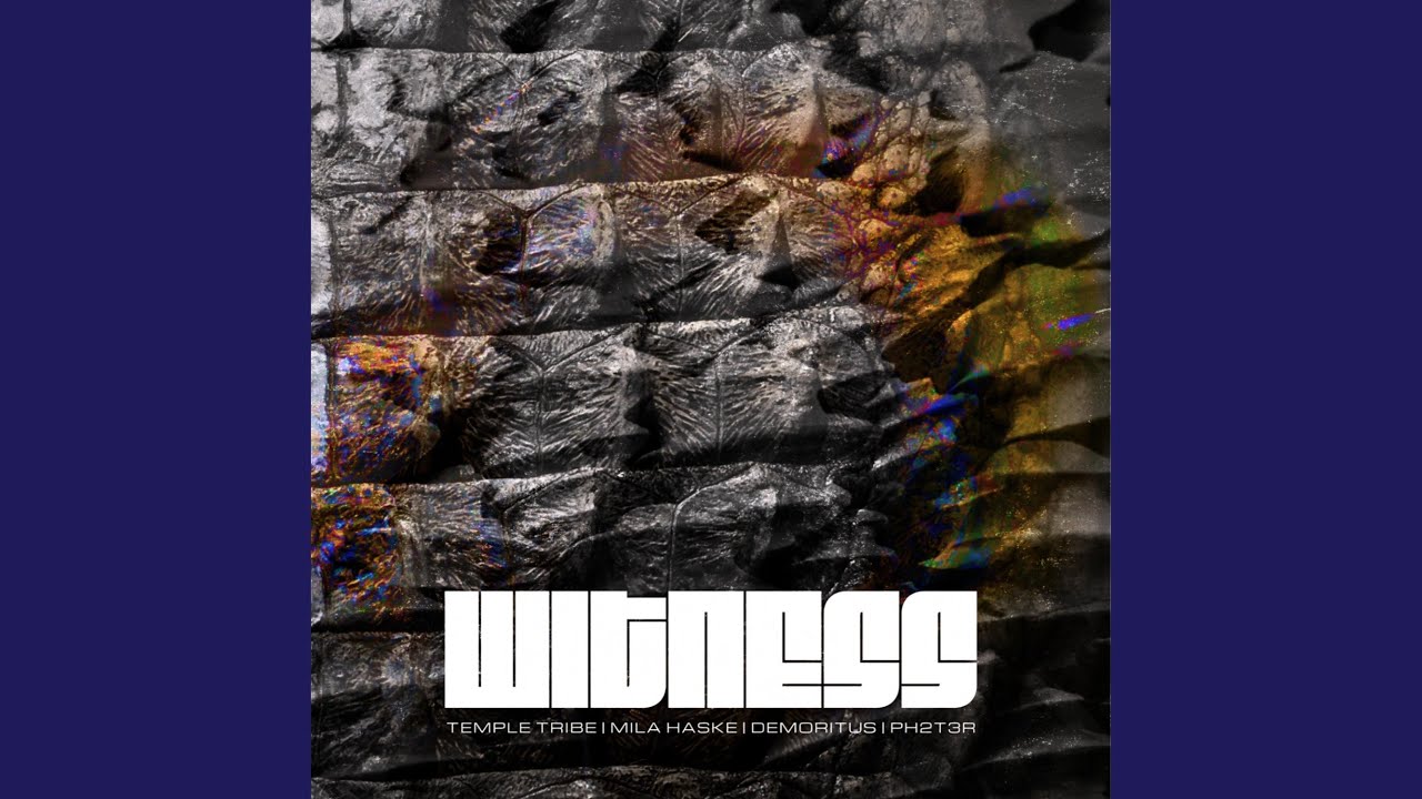 Witness (feat. Mila Haske, Demoritus & PH2T3R) (Instrumental)
