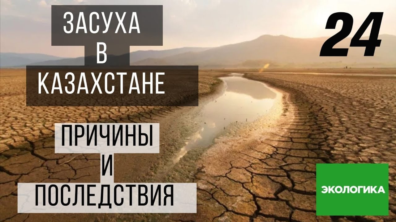 Засуха в Казахстане: причины и последствия | Экологика