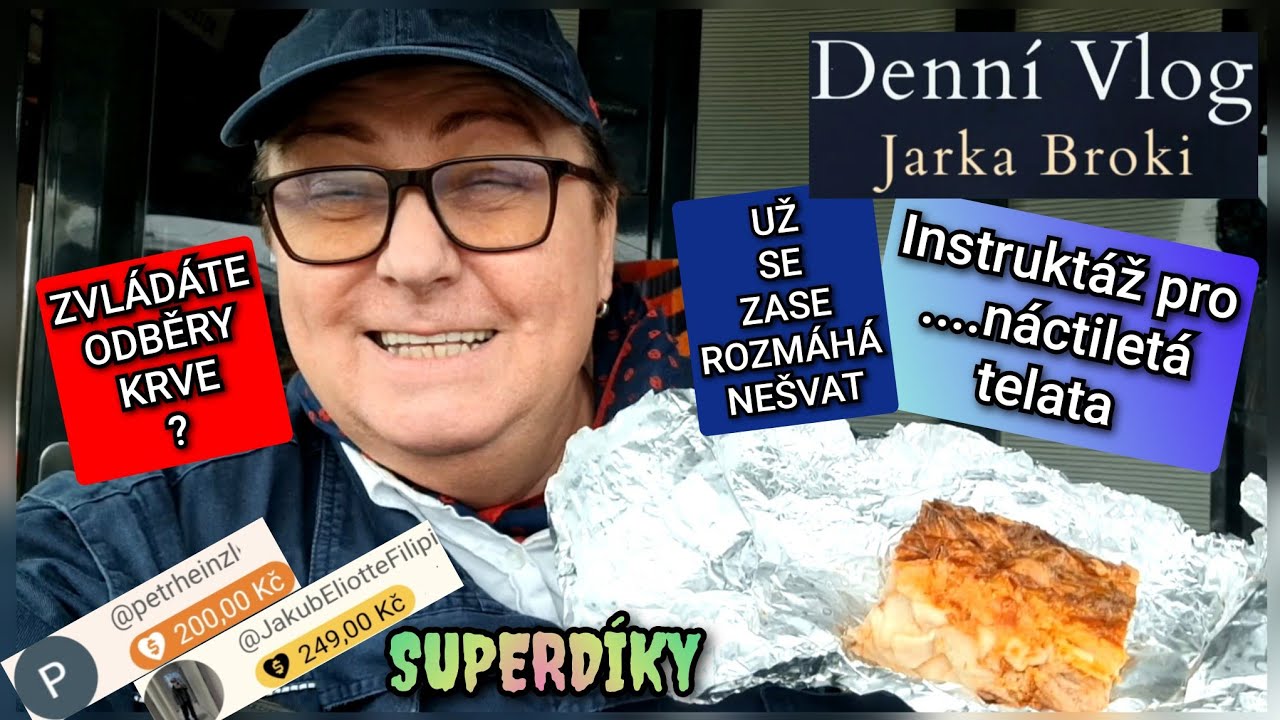 Devatenáctkové zapečenééé * DenníVlog#588