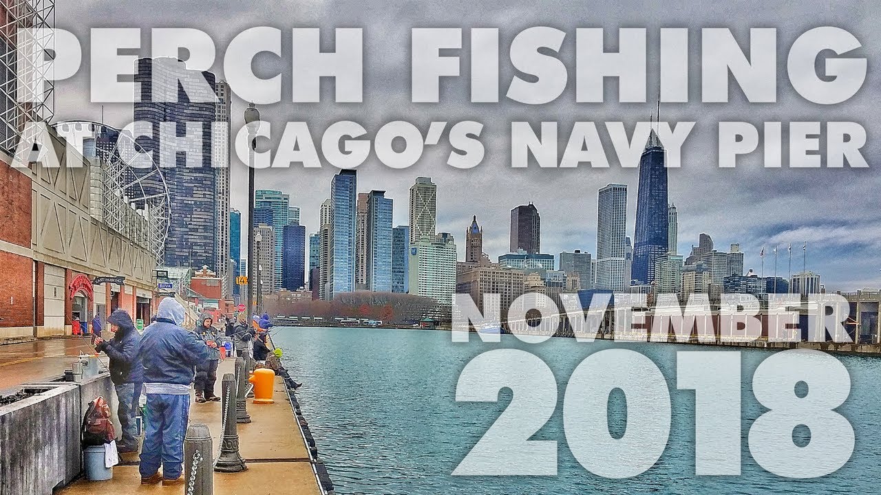 Navy Pier Perch - Chicago, IL - November 2018