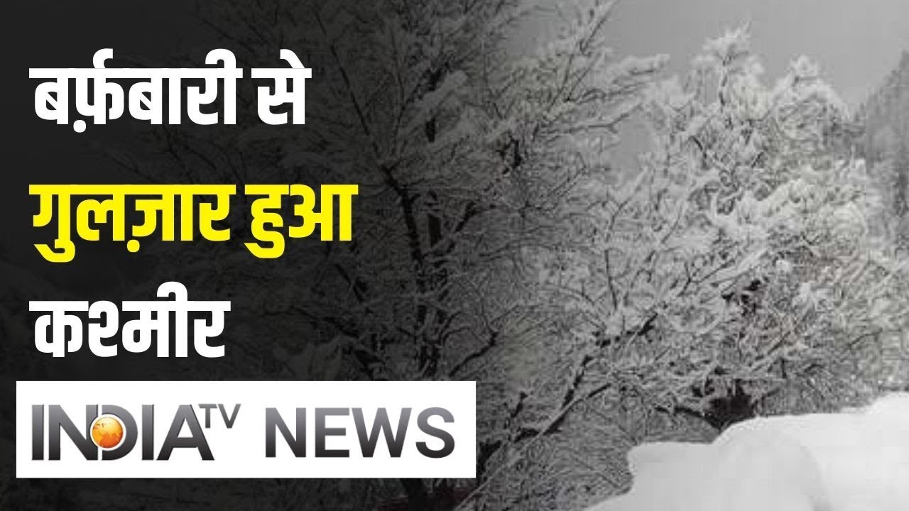Fresh Snowfall Hits Jammu and Kashmir's Doda As Coldwave Grips North India | IndiaTV News