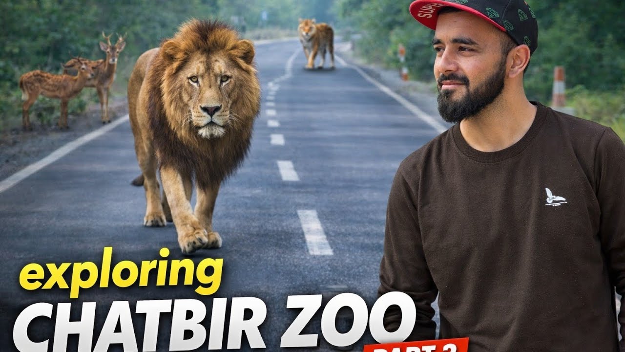 Exploring Chatbir zoo part 2 #Crazy scene from Chatbir zoo