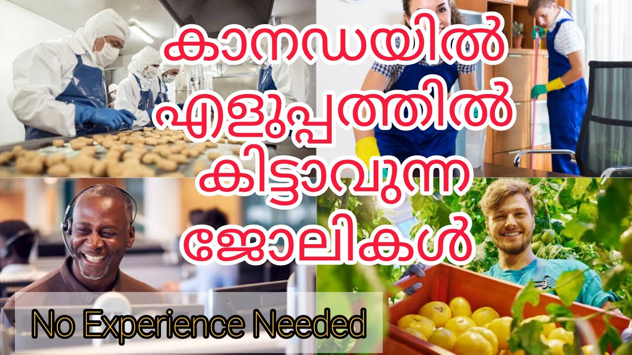 Jobs in Canada that ANYONE can get without ANY EXPERIENCE | Entry Level | Basic Pay Jobs | Malayalam
