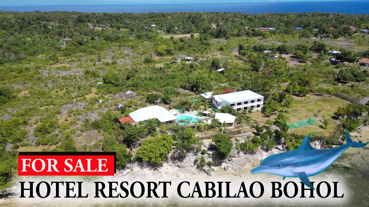 Dolphin Cove BEACH HOTEL RESORT CABILAO BOHOL | HOUSE TOUR B33