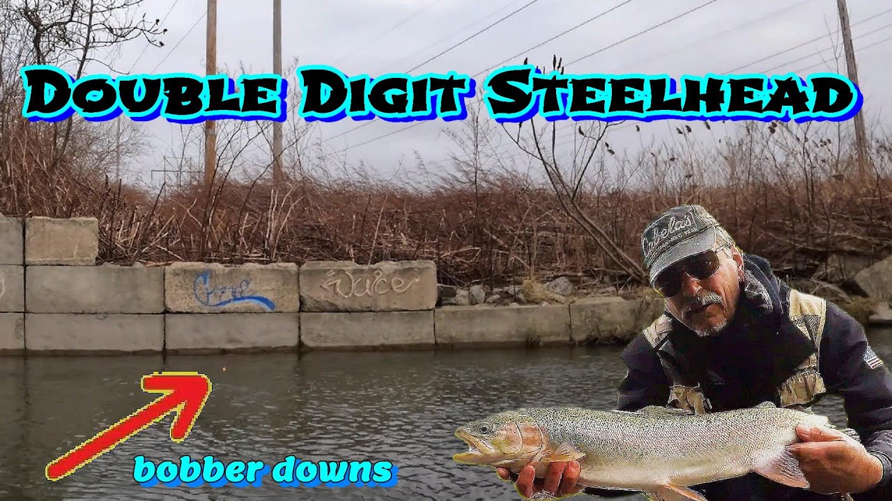 Double Digits Steelhead -  match Colors to Conditions