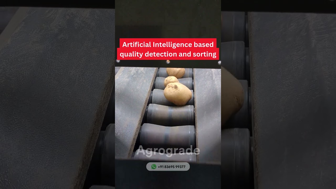 A.I. Potato Optical Sorter | Agrograde  #potato #ai