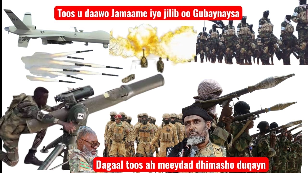 Toos U Dawo Dilka  Wiilka Cali dheere meydadka As Duqayn Toos ah maxabiis Jamaame