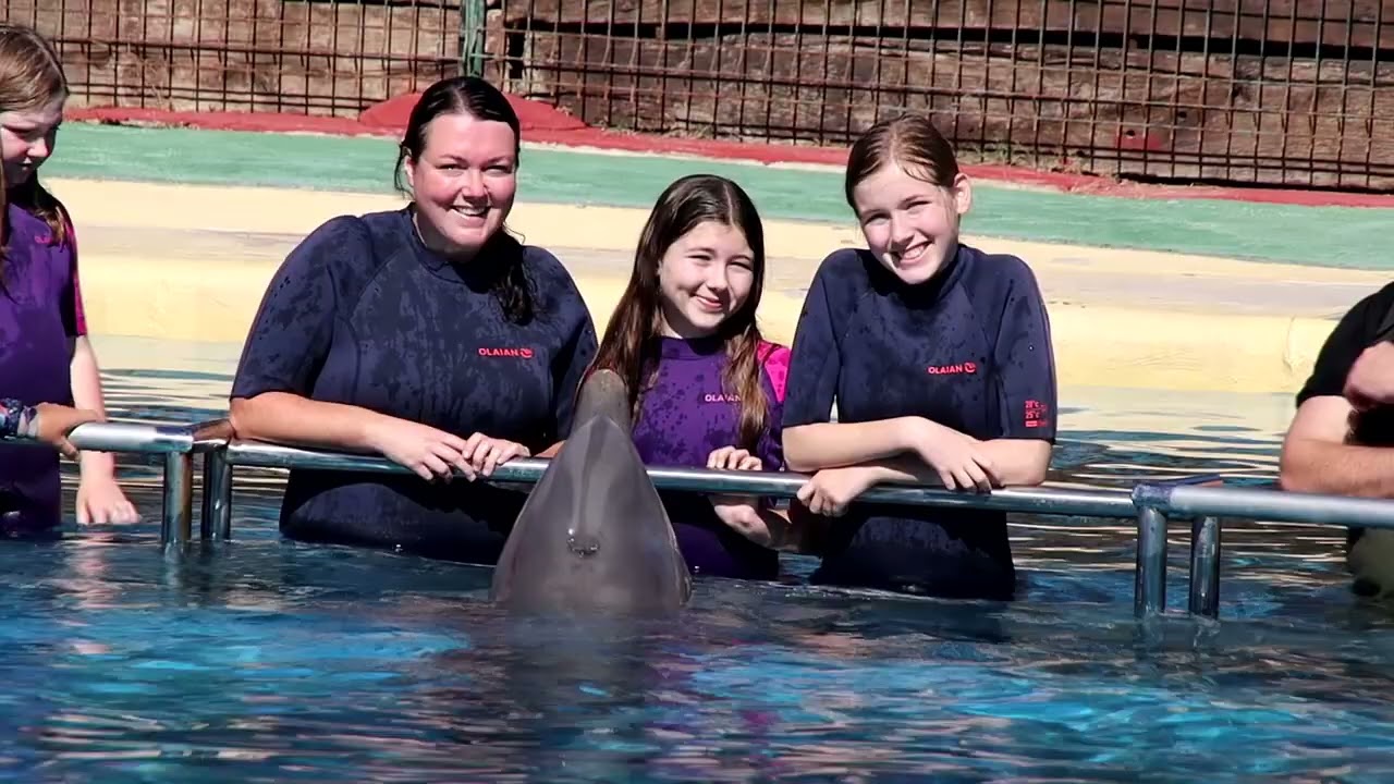 Selwo Marina Dolphin Experience