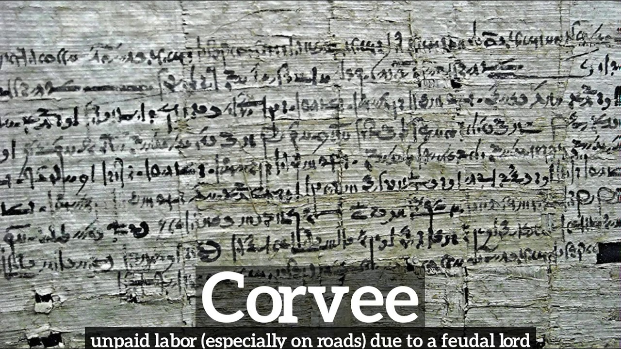 How to Say Corvee in English? | What is Corvee? | How Does Corvee Look?