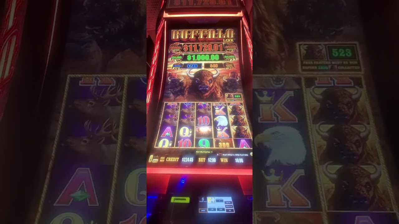 3574.Buffalo Hand Pay . Great Fast game. 20260128 145057