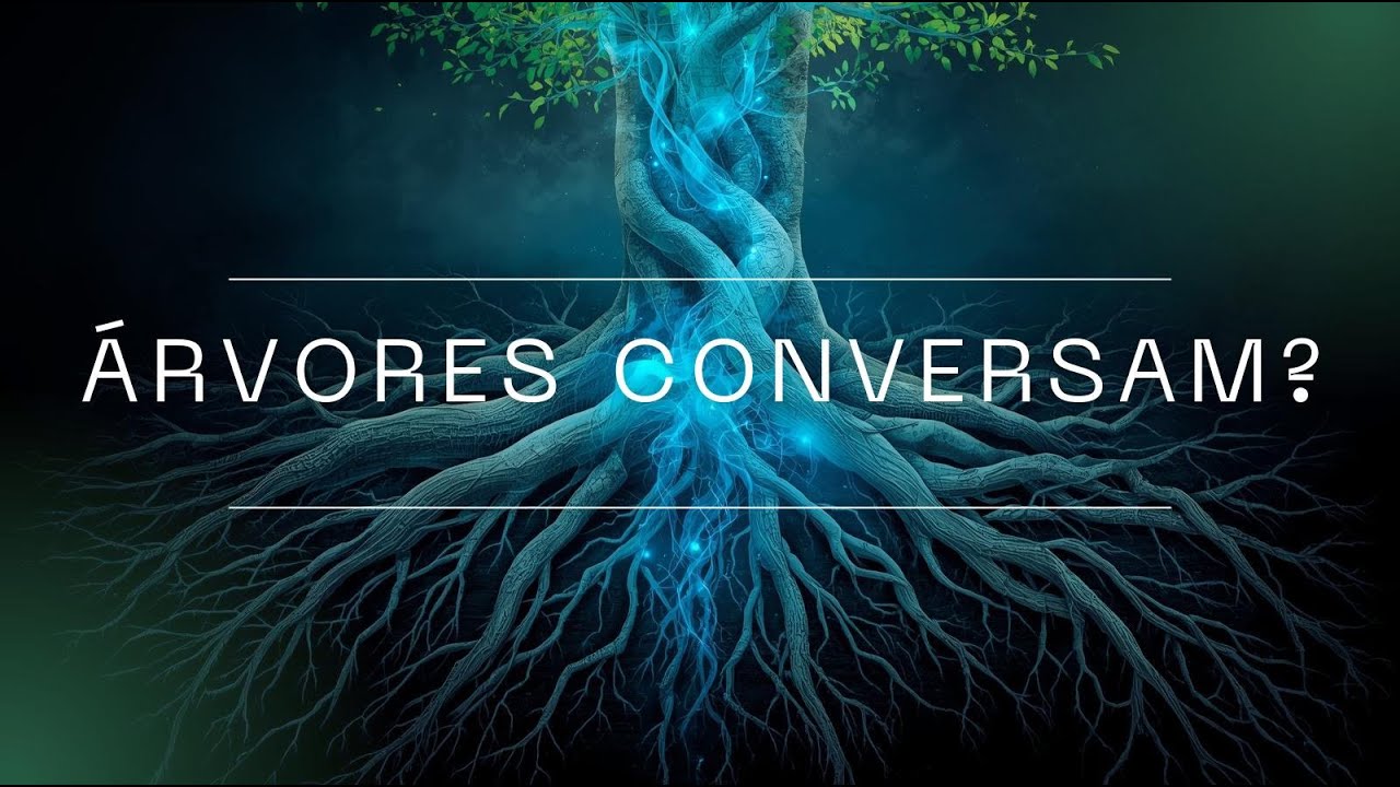 A FLORESTA TEM INTERNET? 🌳