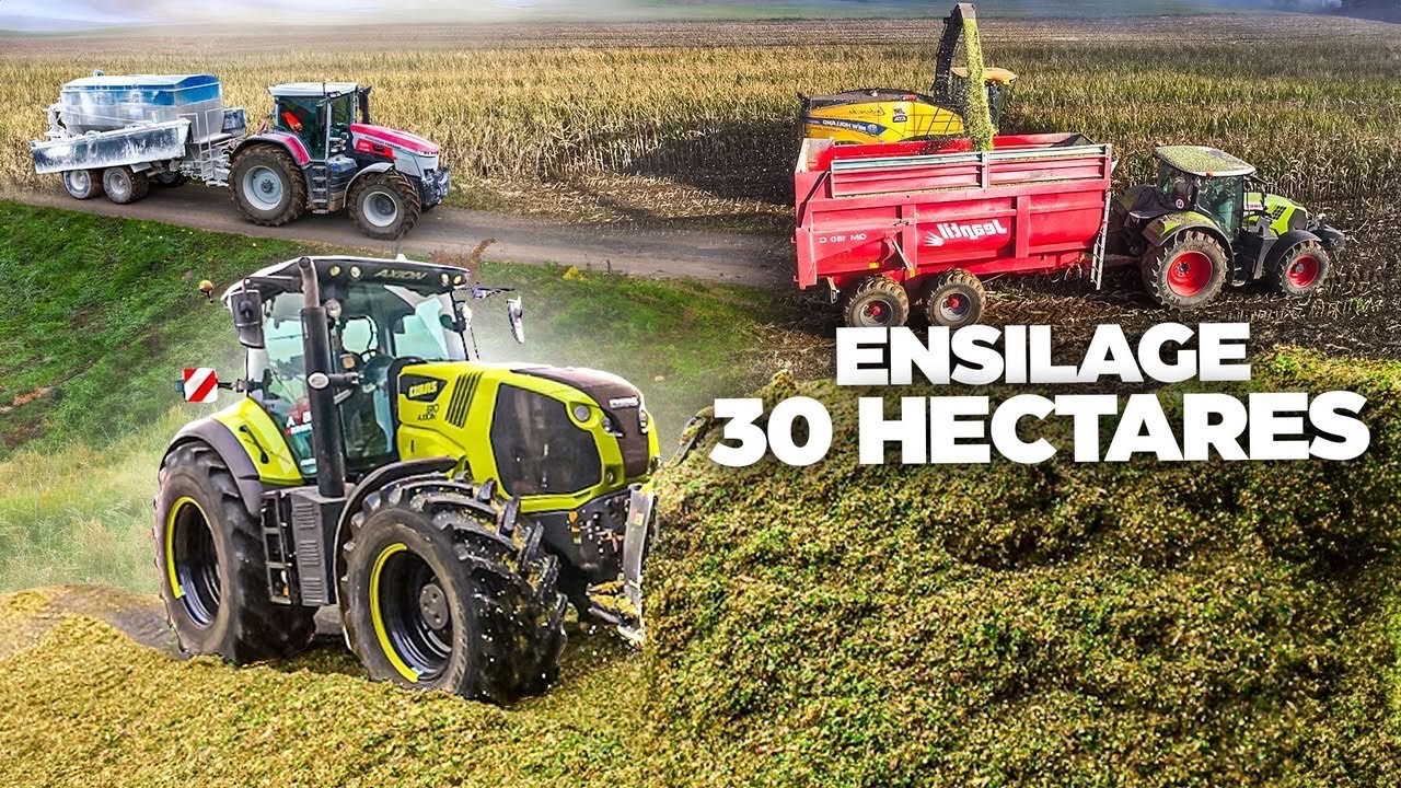 COLERE APRES L'ENSILAGE