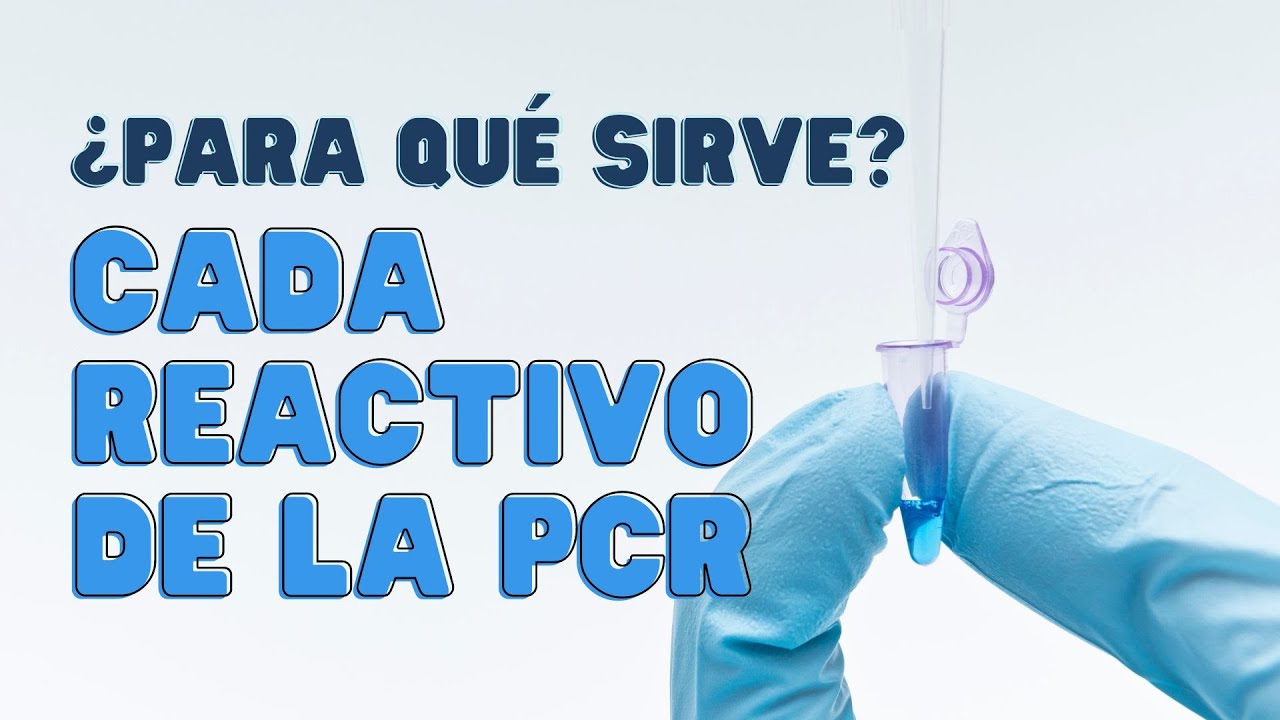 🧬🧬🧬 FUNDAMENTOS  de los REACTIVOS de la REACCIÓN EN CADENA DE LA POLIMERASA (PCR) 🧬🧬🧬