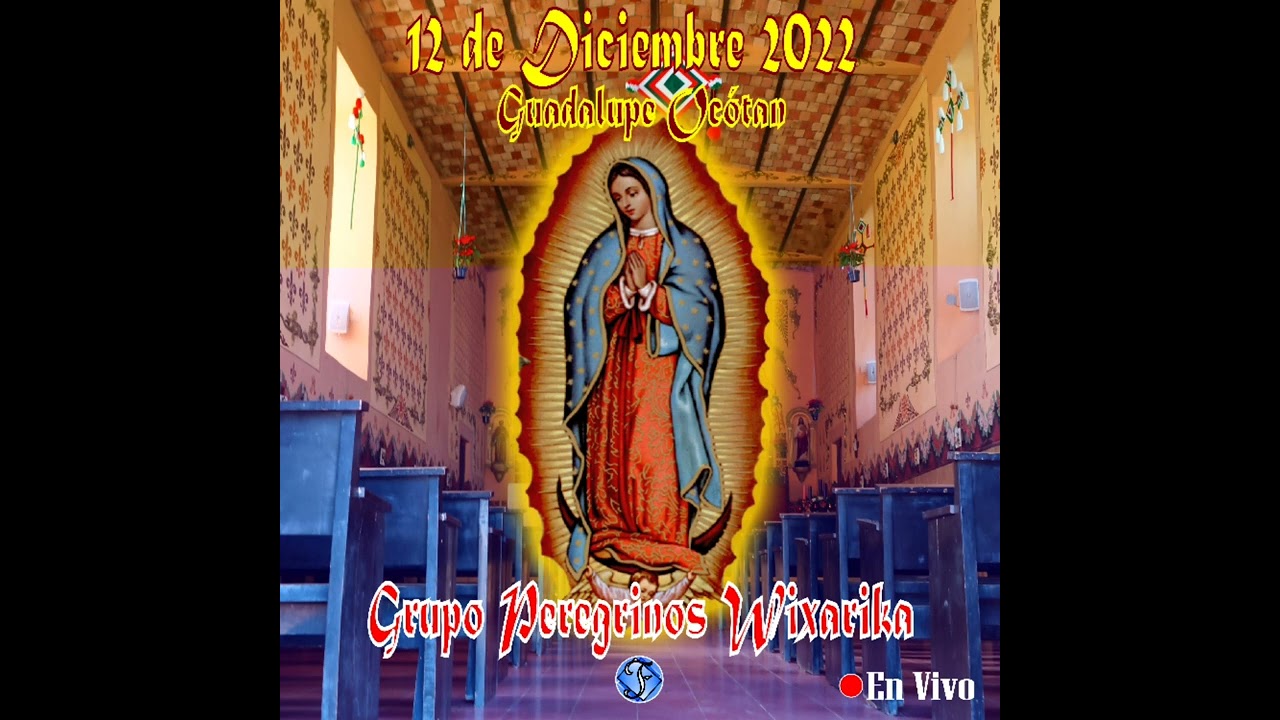 Minuetes (En VIVO)  -  Grupo Peregrinos Wixarika | Guadalupe Ocotan Diciembre 12, 2022