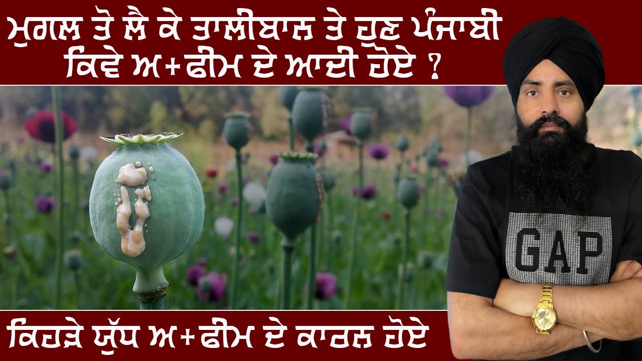 ਮੁਗਲ ਤੋ ਲੈ ਕੇ ਤਾਲੀਬਾਨ ਤੇ ਹੁਣ ਪੰਜਾਬੀ ਕਿਵੇ ਅ+ਫੀਮ ਦੇ ਆਦੀ ਹੋਏ...? ॥ The Opium Wars