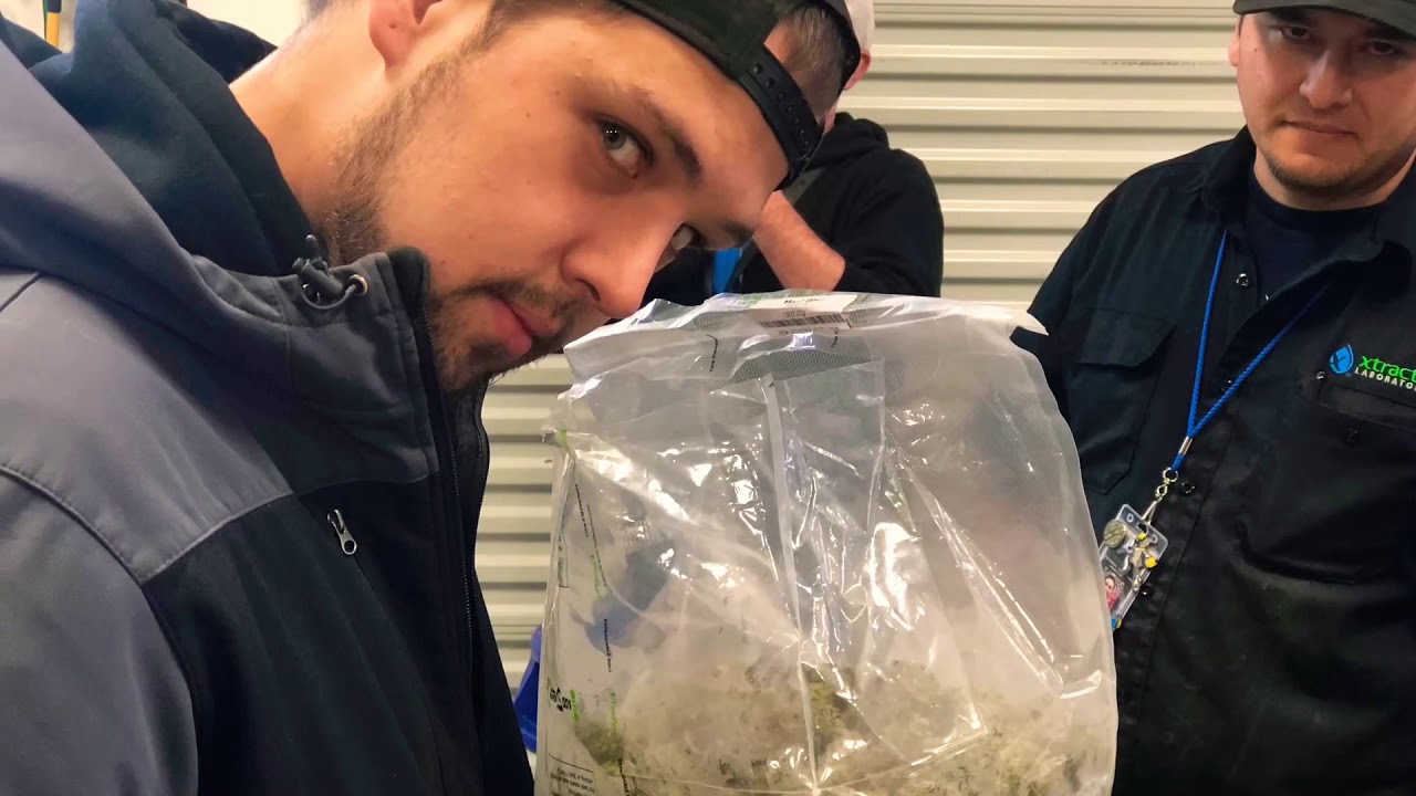 Seattle Refine X-tracted Labs Tour