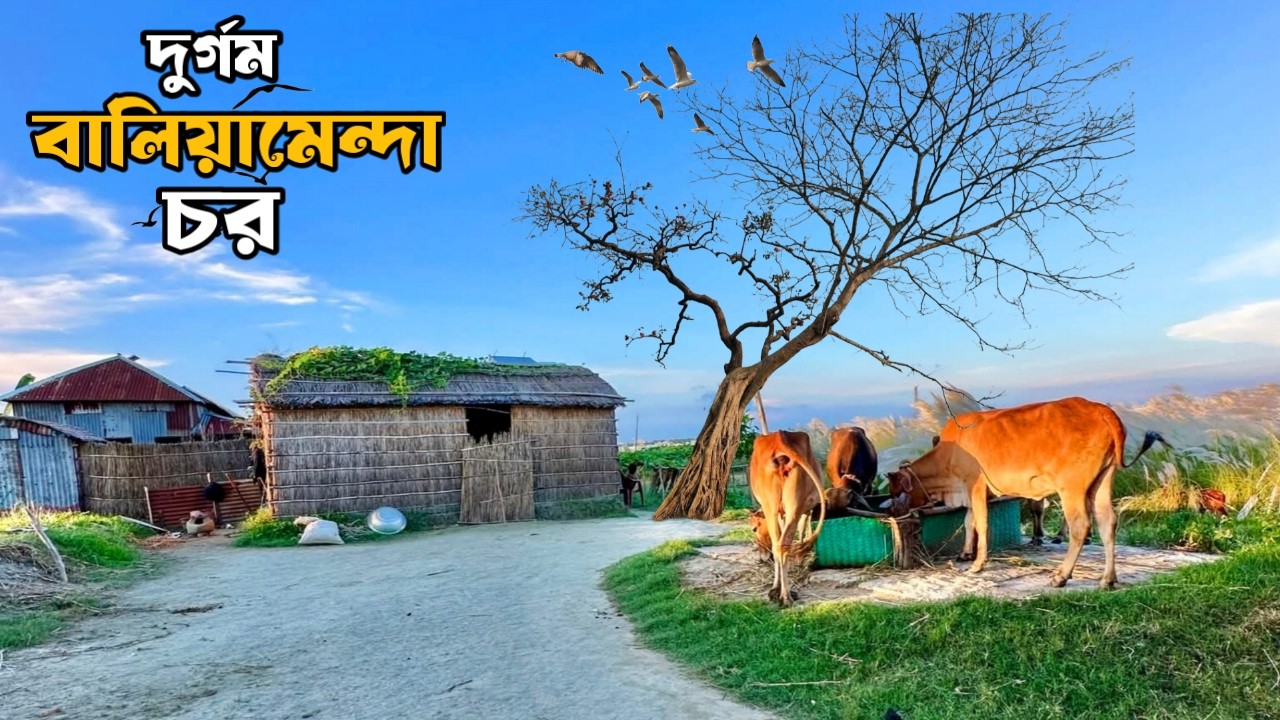 যমুনার ওপারের দুর্গম বালিয়ামেন্দা চর | Untold Life of Jamuna River Island.