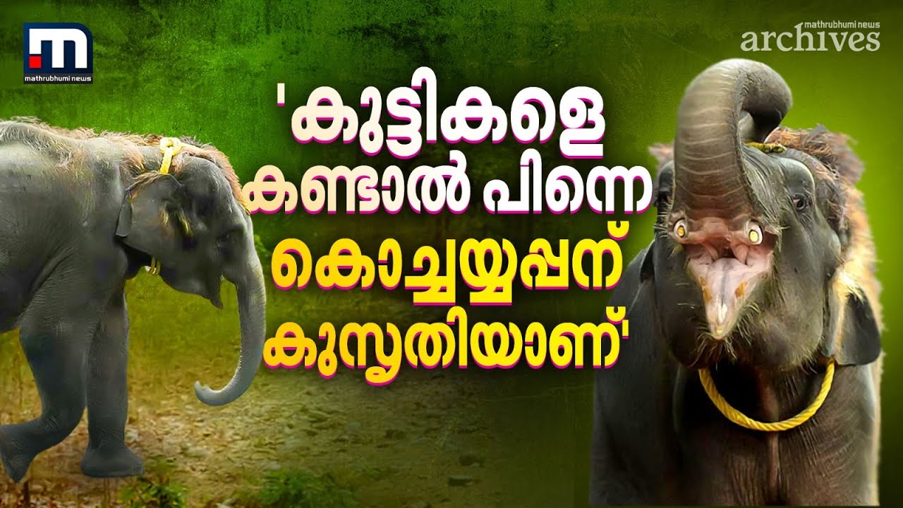 'കുട്ടികളെ കണ്ടാൽ പിന്നെ കൊച്ചയ്യപ്പന് കുസൃതിയാണ്' | Mathrubhumi News Archive | Kochayyappan
